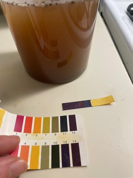 A hand holding a pH paper with a color chart
