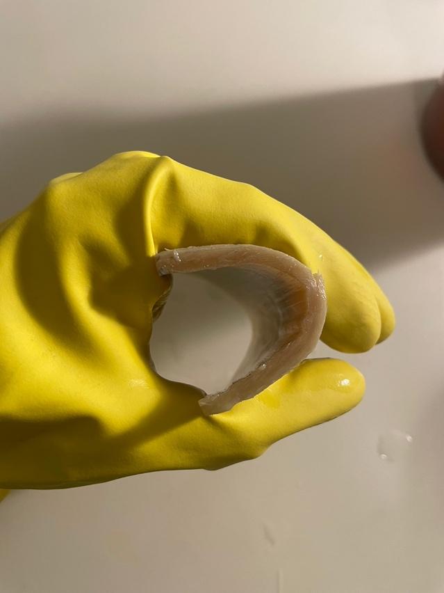 A gloved hand holding a piece of horn