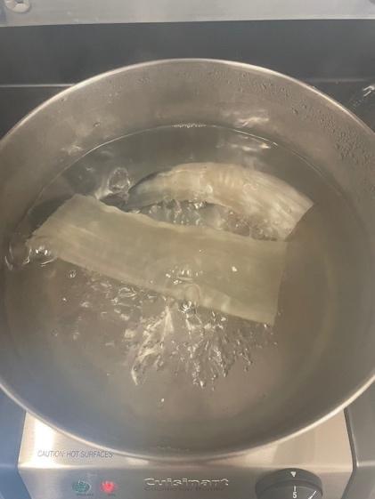 Horn in a pot of water