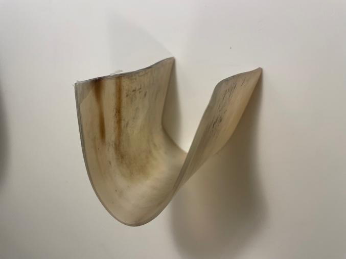 A curved piece of wood