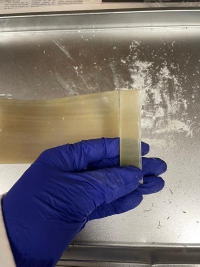 A person wearing blue gloves holding a piece of horn