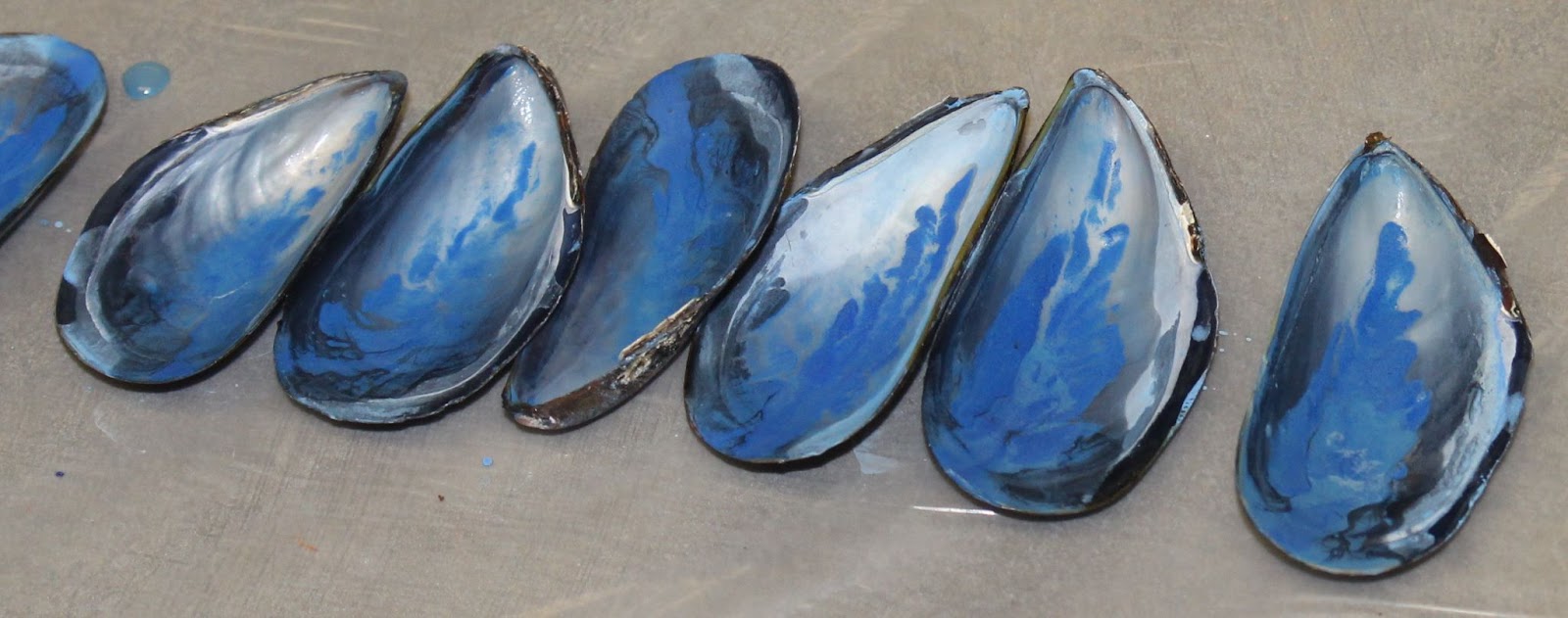 azurite in shells