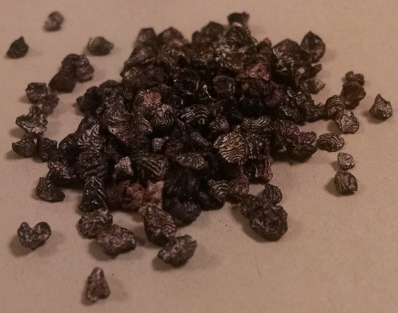 dried-cochineal